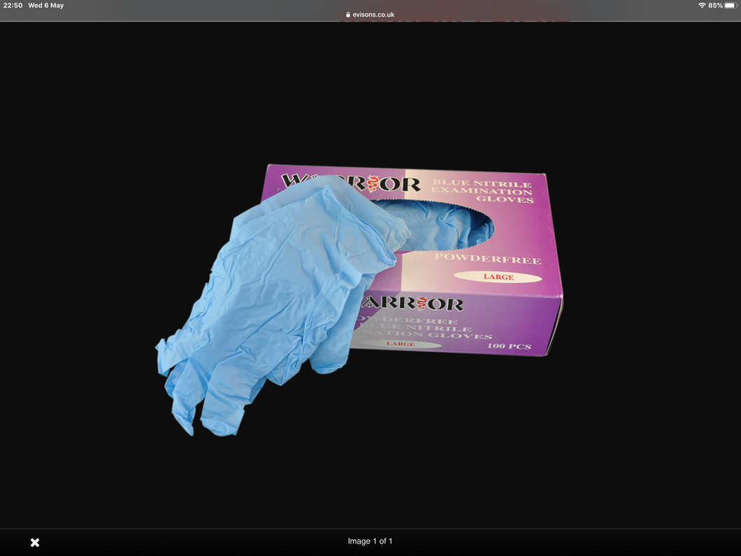 Disposable Gloves (100 per box)